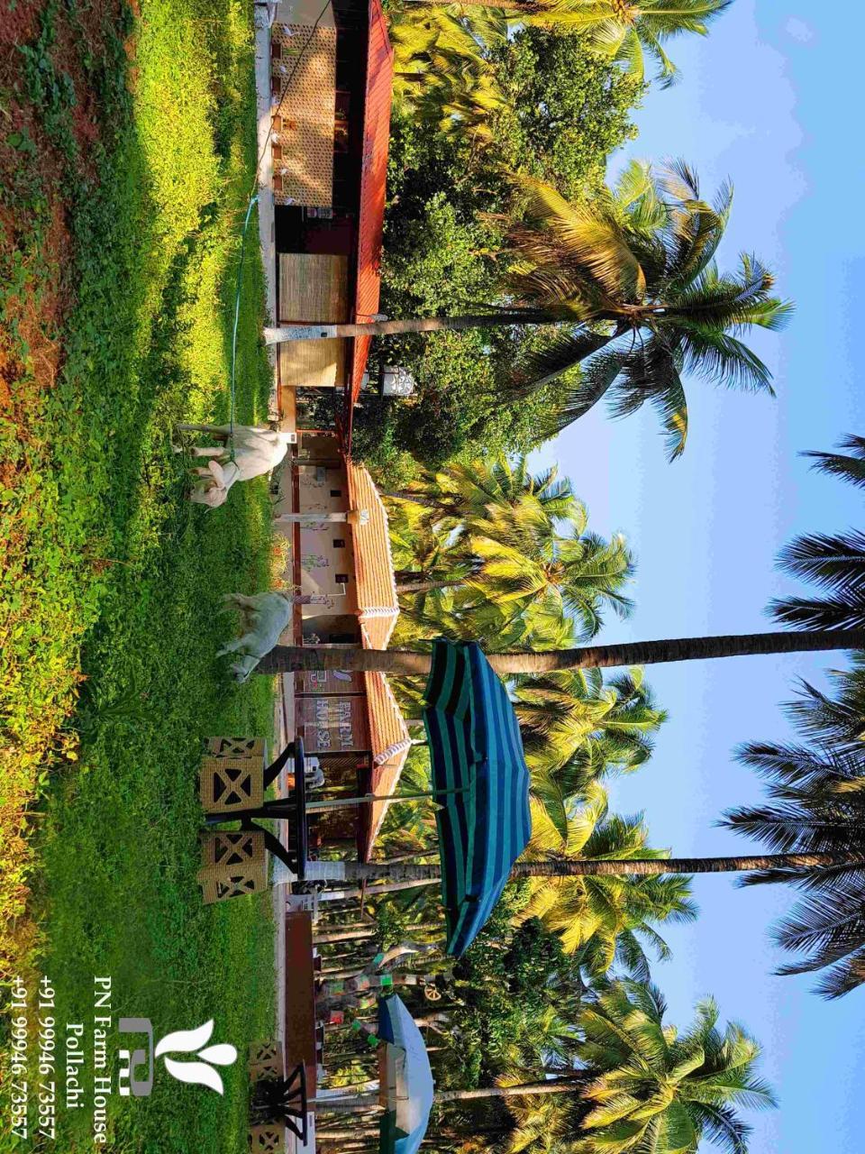 Pollāchi Pn Farm House酒店 外观 照片
